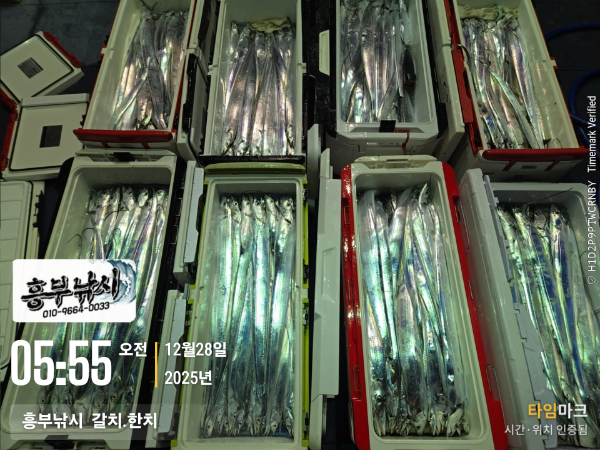 2025-12-28 05.55.58__(-흥부낚시  갈치.한치).jpg