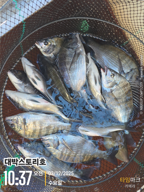 2025-12-03 10.37.20__(대박스토리호).jpg