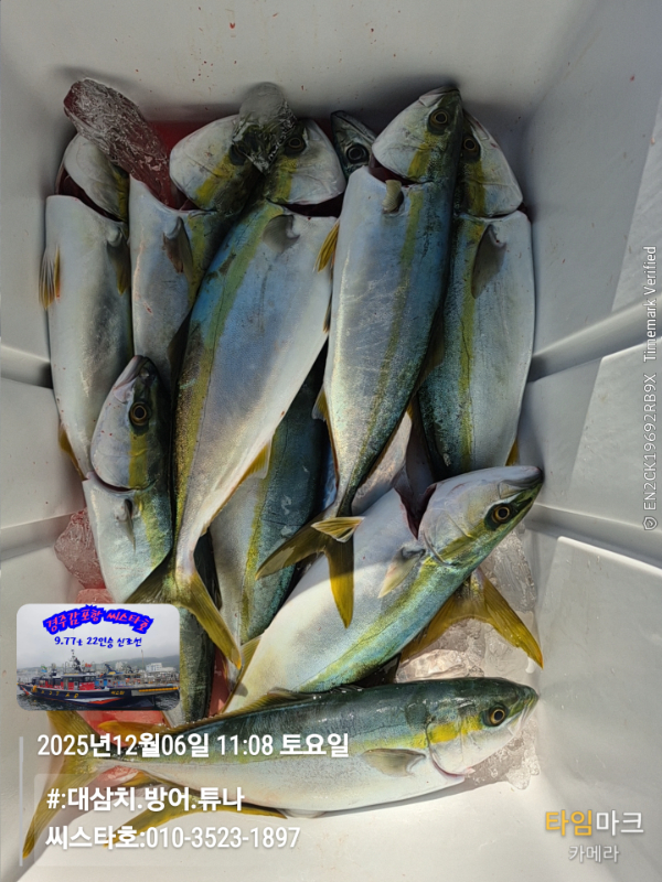 2025-12-06 11.08.02__(#-대삼치.방어.튜나)_(씨스타호-010-3523-1897).jpg
