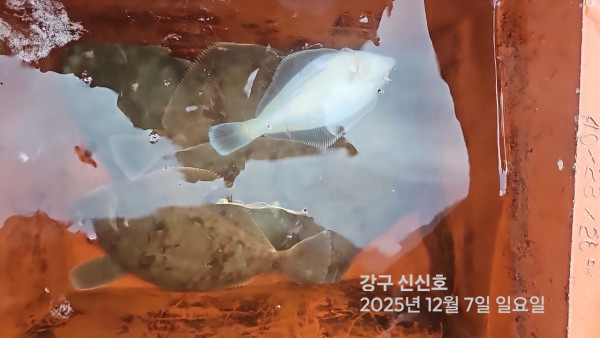 신신낚시 강구점 신신호_사진_20251207_3.jpg