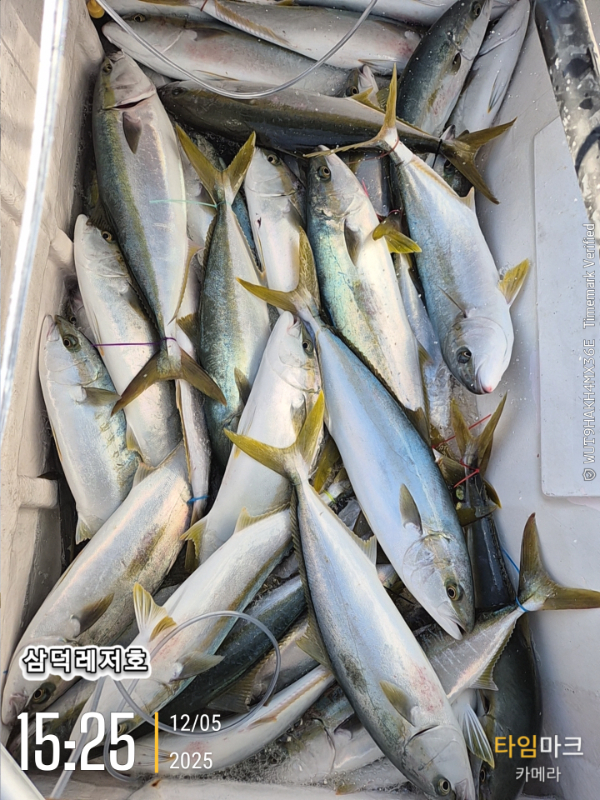 2025-12-05 15.25.24_.jpg