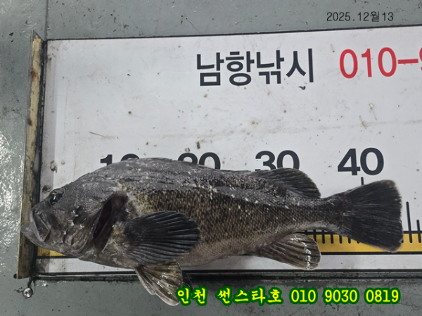 12월13 썬 (24).jpg