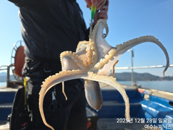 28일쭈꾸미 (1).jpg