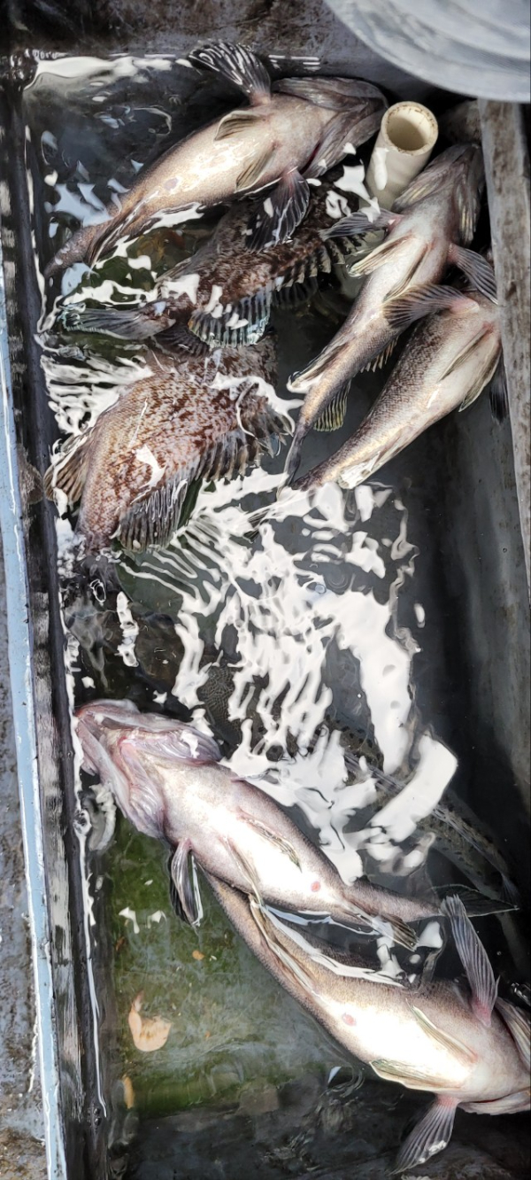 예지퀸호 농어외수질&어초낚시 경기인천권_사진_20251129_6.jpg