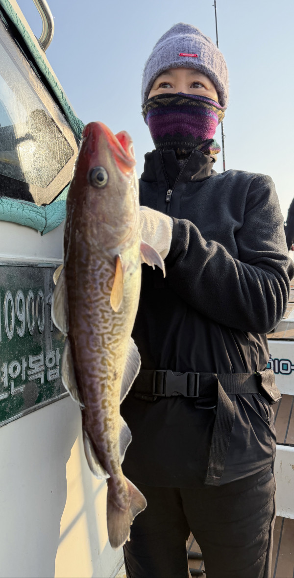 #에이스호#울진 #왕돌초 #빅게임 #왕대구 #대왕문어 #무늬오징어 #대광어 #볼락_사진_20251207_5.jpg