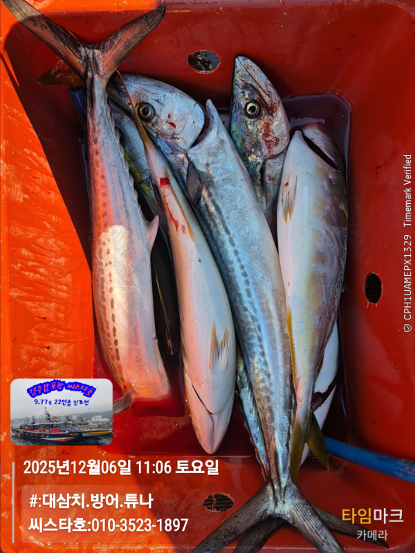 2025-12-06 11.06.52__(#-대삼치.방어.튜나)_(씨스타호-010-3523-1897).jpg