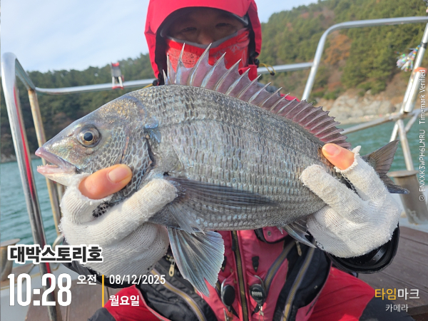 2025-12-08 10.29.00__(대박스토리호).jpg