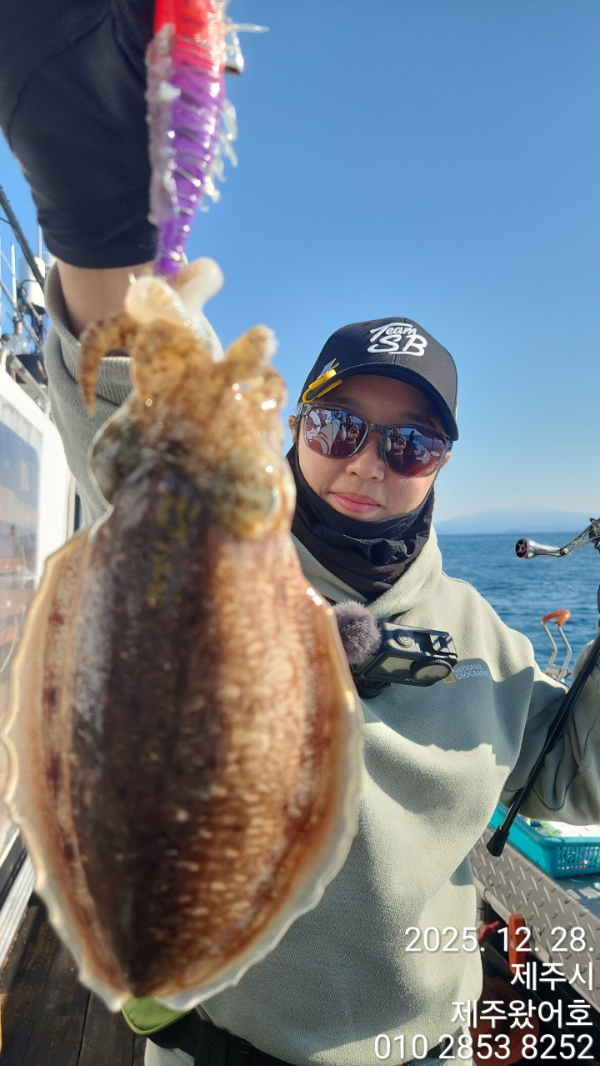 제주왔어호_사진_20251230_1.jpg