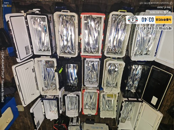 2025-12-02 03.40.02_Japan_(제목-뉴블루마린호)_(예약전화 010 8924 3131).jpg