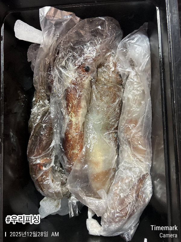 2025-12-28 02.53.59_(#우리피싱).jpeg