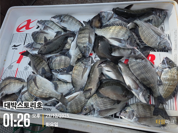 2025-12-23 01.26.04__(대박스토리호).jpg