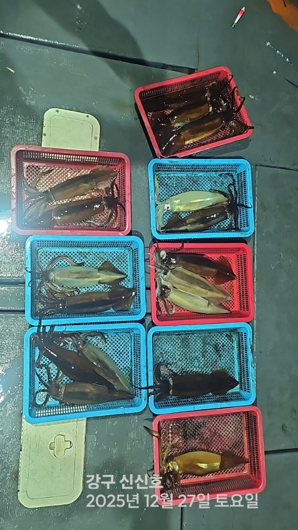 신신낚시 강구점 신신호_사진_20251228_8.jpg