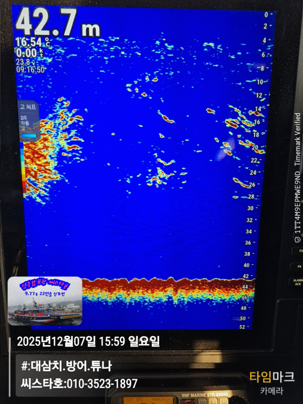 2025-12-07 15.59.17__(#-대삼치.방어.튜나)_(씨스타호-010-3523-1897).jpg