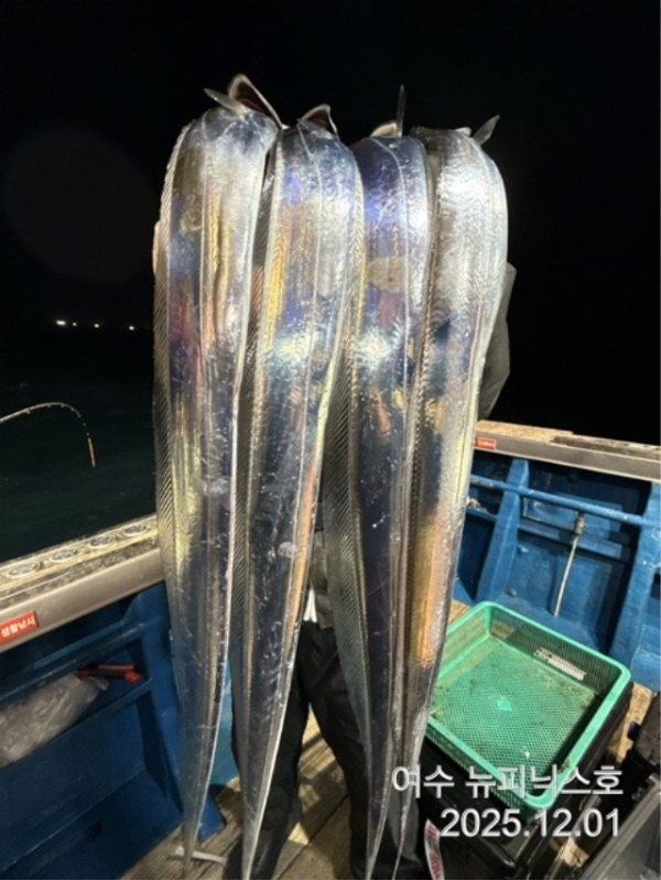 20912월2일갈치 (55).jpg