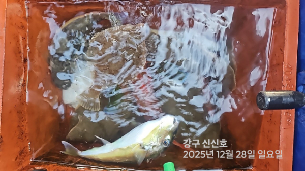 신신낚시 강구점 신신호_사진_20251228_9.jpg