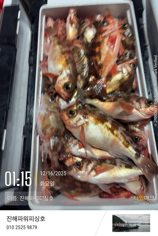 2025-12-16 01.15.32_(이름-진해파워피싱호).jpeg