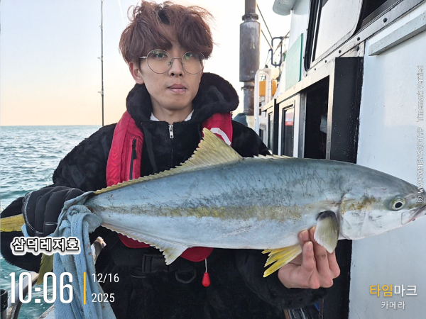 2025-12-16 10.06.08_.jpg