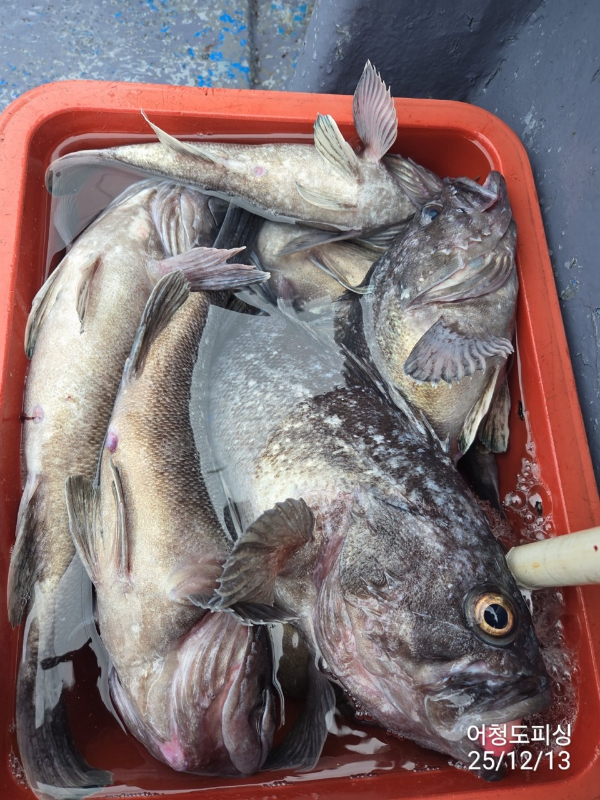 최강피싱 063.463.0800_사진_20251213_31.jpg