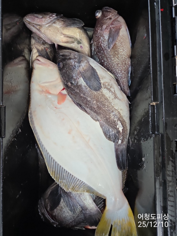 최강피싱 063.463.0800_사진_20251211_34 - 복사본.jpg