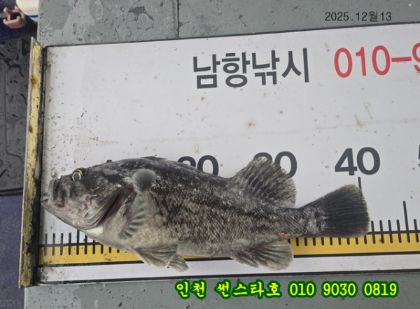 12월13 썬 (41).jpg