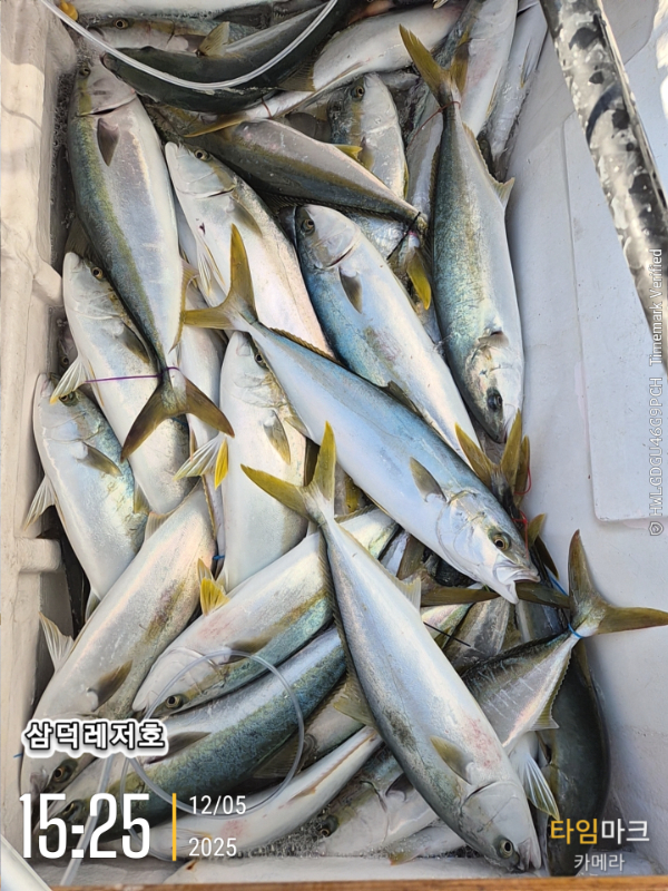 2025-12-05 15.25.22_.jpg