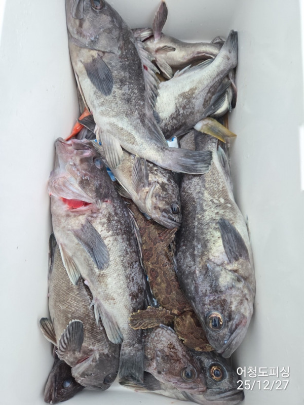 최강피싱 063.463.0800_사진_20251227_29.jpg