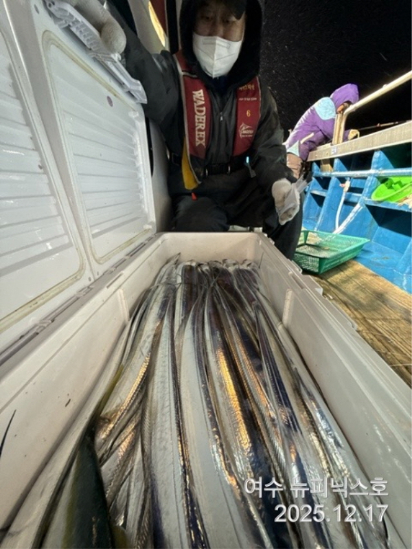 12월17일왕갈치 (3).jpg