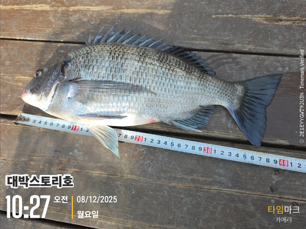 2025-12-08 10.27.34__(대박스토리호).jpg