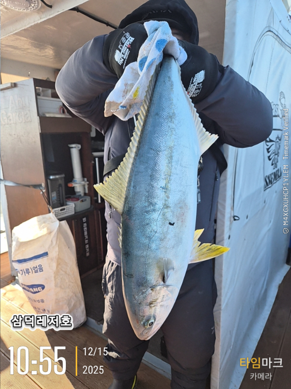 2025-12-15 10.55.06_.jpg