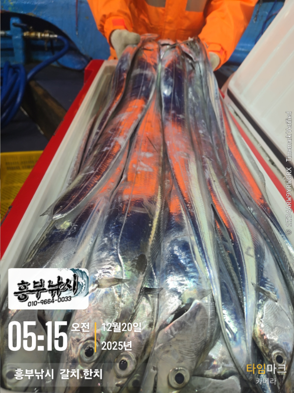 2025-12-20 05.15.45__(-흥부낚시  갈치.한치).jpg