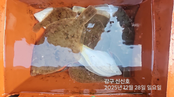 신신낚시 강구점 신신호_사진_20251228_14.jpg