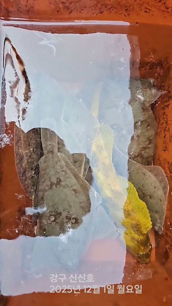 신신낚시 강구점 신신호_사진_20251201_13.jpg
