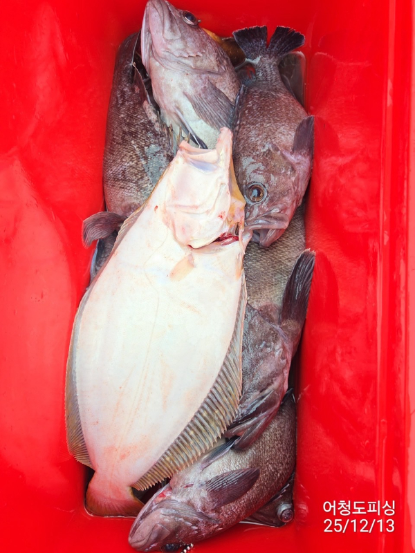 최강피싱 063.463.0800_사진_20251213_56.jpg