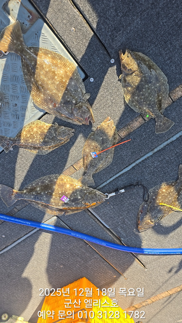 KakaoTalk_20251219_012255204_03 (1).jpg