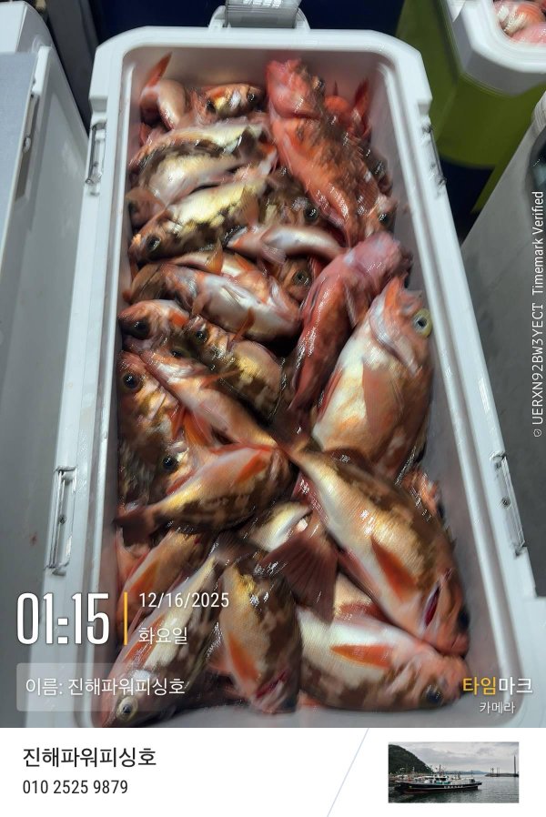 2025-12-16 01.15.36_(이름-진해파워피싱호).jpeg