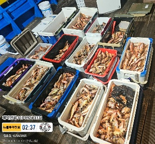 2025-12-28 02.37.21_대한민국_(제목-뉴블루마린호)_(예약전화 010 8924 3131).jpg