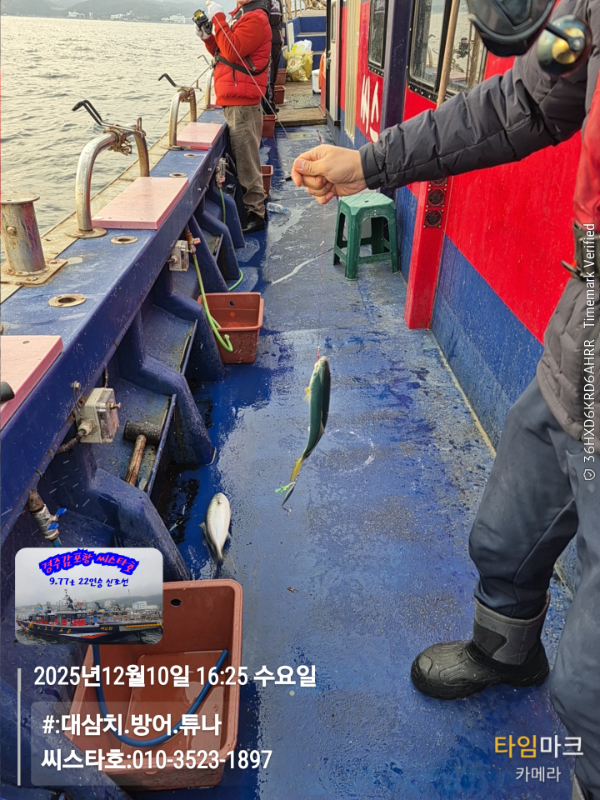 2025-12-10 16.25.48__(#-대삼치.방어.튜나)_(씨스타호-010-3523-1897).jpg