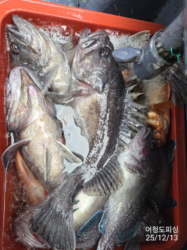 최강피싱 063.463.0800_사진_20251213_36.jpg