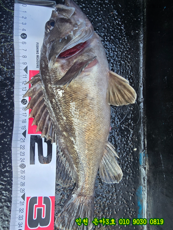 12월28 3호 (18).jpg