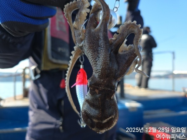 28일쭈꾸미 (3).jpg