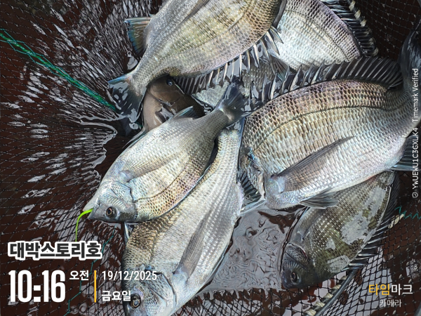 2025-12-19 10.16.14__(대박스토리호).jpg