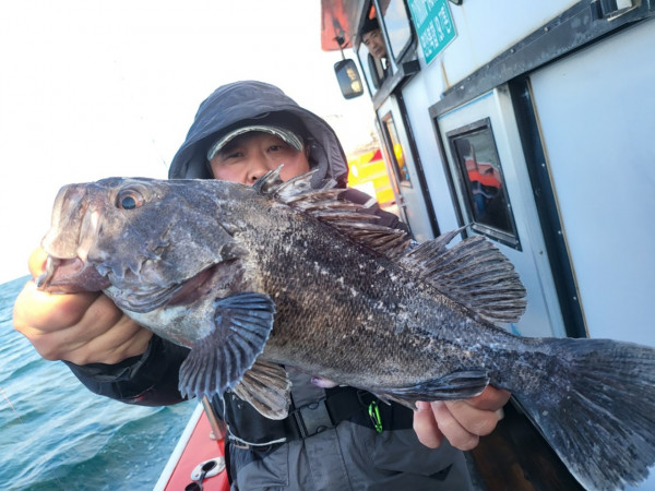 군산 선상낚시, 바다낚시 출조 전문 ☆서군산낚시☆_사진_20251219_7.jpg