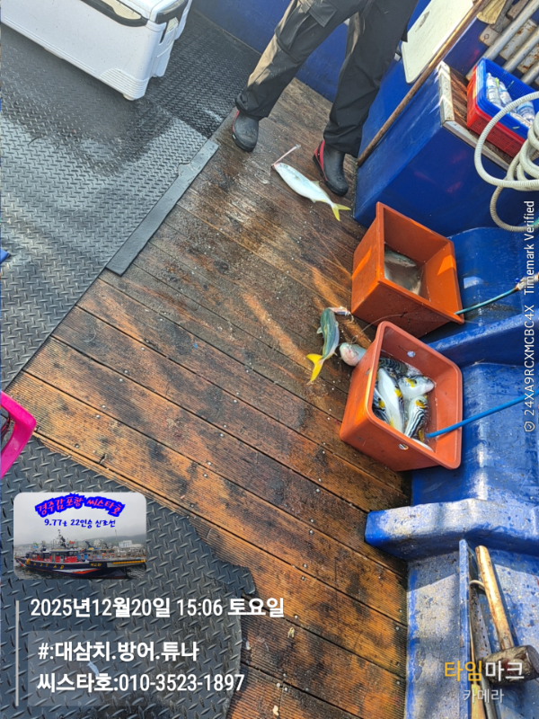 2025-12-20 15.06.18__(#-대삼치.방어.튜나)_(씨스타호-010-3523-1897).jpg