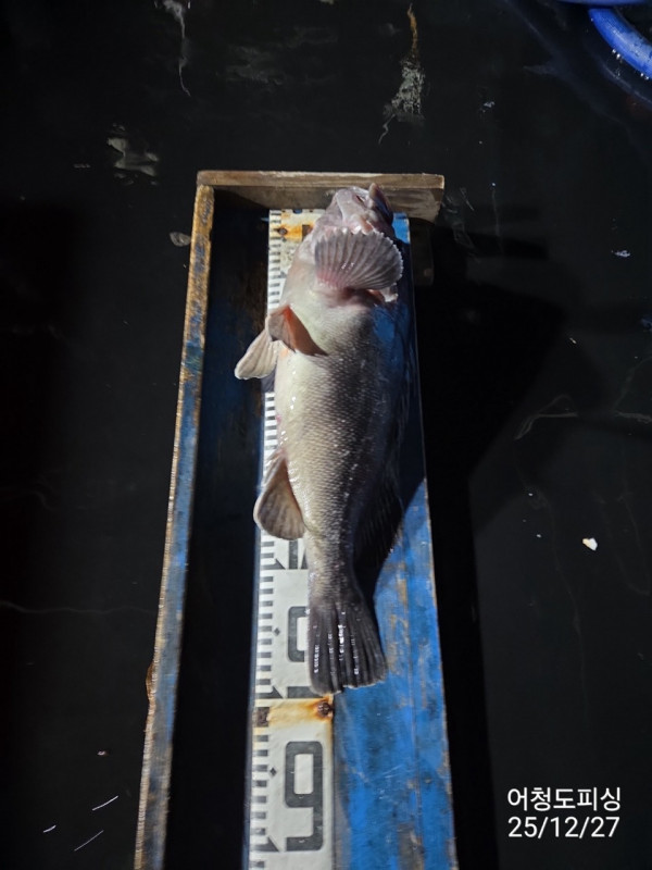 최강피싱 063.463.0800_사진_20251227_6.jpg