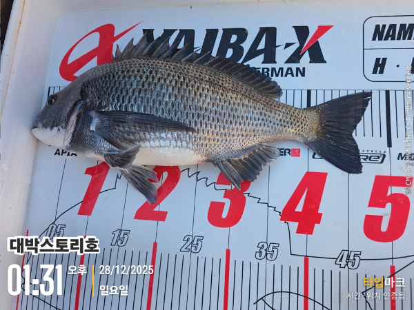 2025-12-28 01.31.27__(대박스토리호).jpg