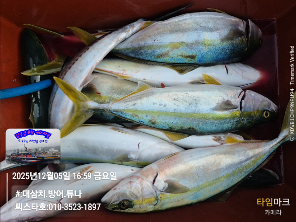 2025-12-05 16.59.54__(#-대삼치.방어.튜나)_(씨스타호-010-3523-1897).jpg