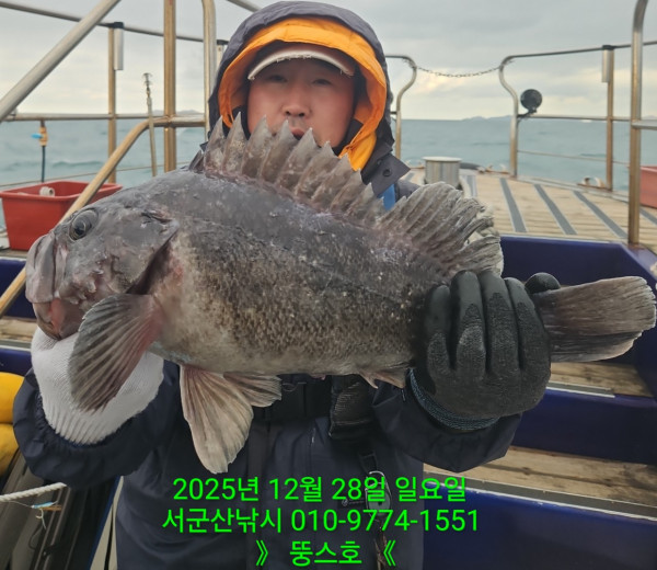 군산 선상낚시, 바다낚시 출조 전문 ☆서군산낚시☆_사진_20251228_4.jpg