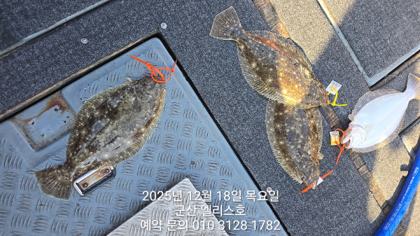 KakaoTalk_20251219_012255204_07 (1).jpg