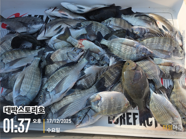 2025-12-17 01.37.15__(대박스토리호).jpg