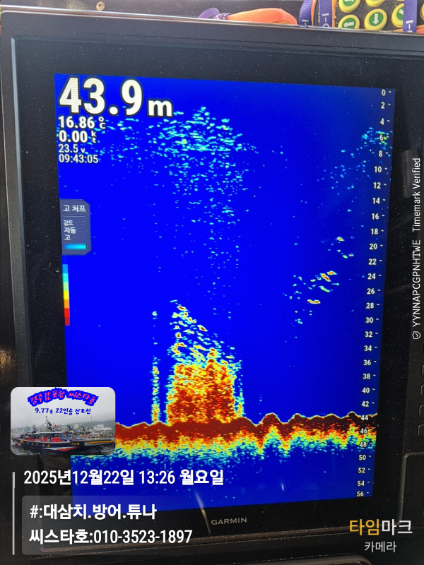 2025-12-22 13.26.18__(#-대삼치.방어.튜나)_(씨스타호-010-3523-1897).jpg
